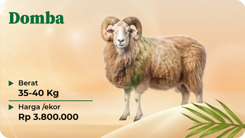 Qurban