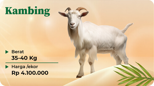 Qurban