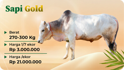 Qurban