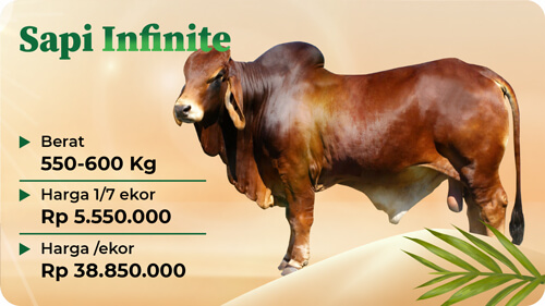 Qurban