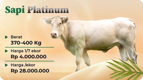 Qurban