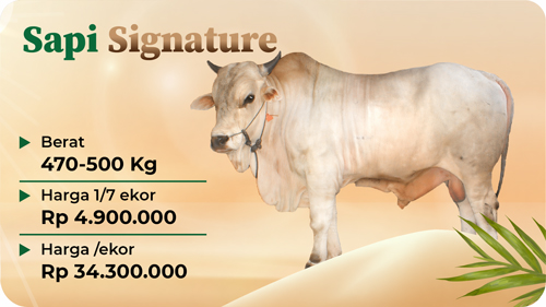 Qurban